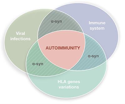 Inflammation, Infectious Triggers, and Parkinson's Disease